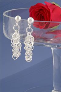 Silver Rings Earrings