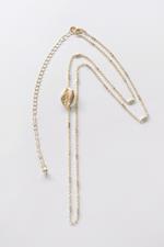 Long Gold Chain Shell Necklace